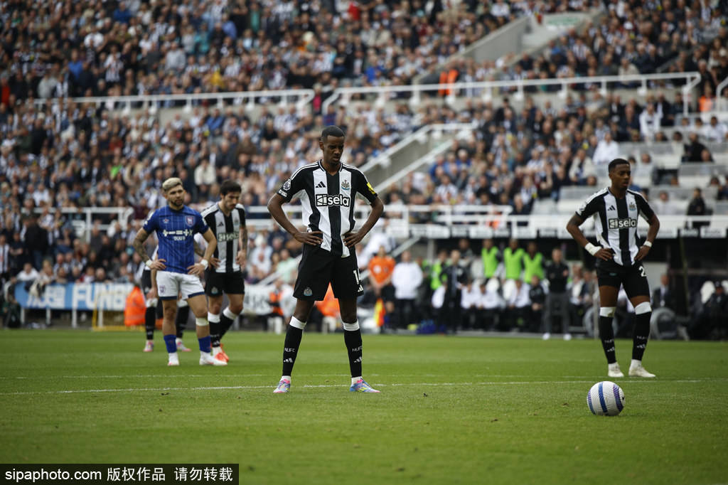 球迷的重要 球迷的重要