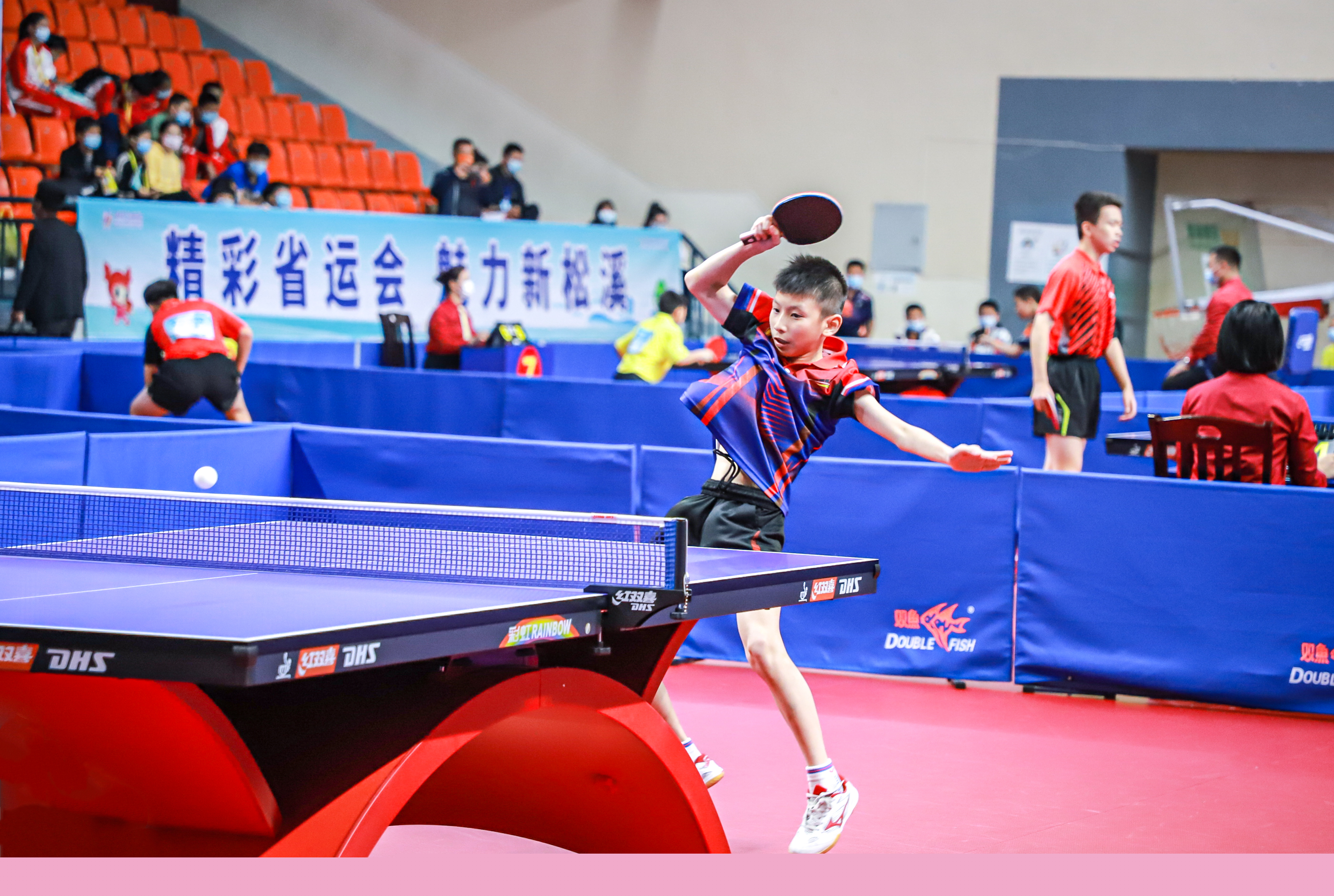 不仅会将系 不仅会将系